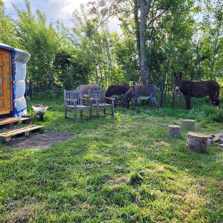Slapen Tussen De Ezels In De Yurt Hotel Aarschot Exterior foto