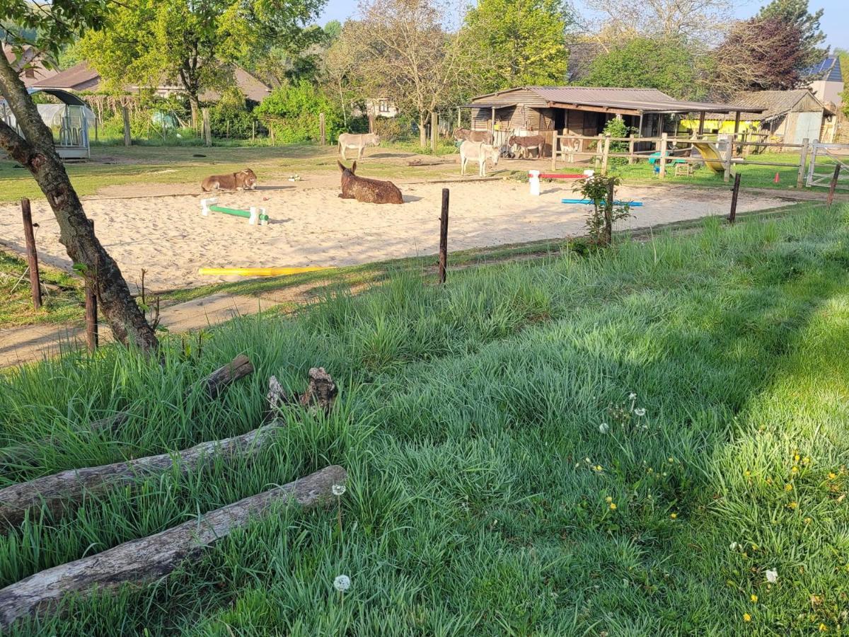 Slapen Tussen De Ezels In De Yurt Hotel Aarschot Exterior foto