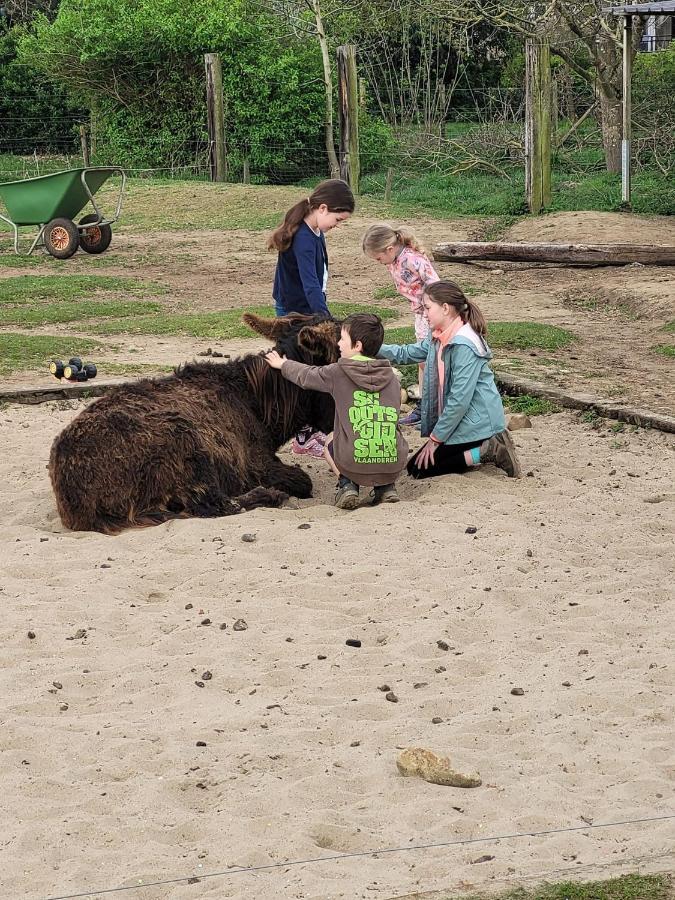 Slapen Tussen De Ezels In De Yurt Hotel Aarschot Exterior foto